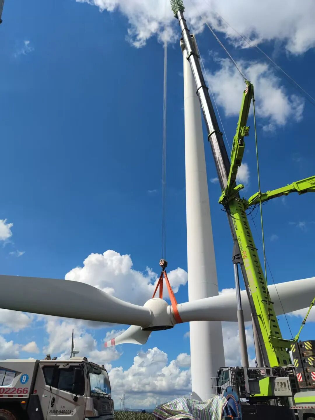 图片16.png 图片16.png